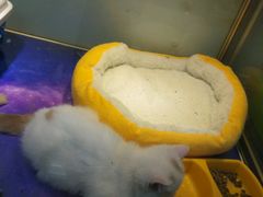 -乐宠宠物店(世纪金源店)