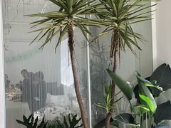 -花沐 FLOWER BATH(凤凰城店)