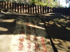 -乌山风景区