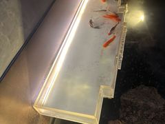 -巴公房子