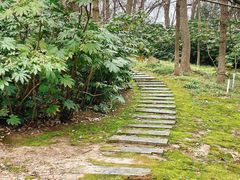 -南京市江宁方山