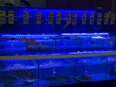 -點無缺茶楼·海鲜酒家(世博店)
