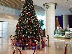 -香港都会海逸酒店