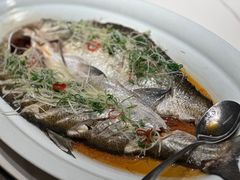 -道道鲜·崇明私房菜(五角场店)