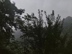 -陕西省红河谷森林公园