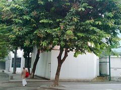-天河体育中心
