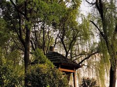 -湖南东洞庭湖国家级自然保护区