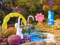 -上海共青森林公园