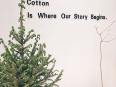 -COTTON CAFE(德信·中外公寓店)