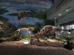 -自贡恐龙博物馆