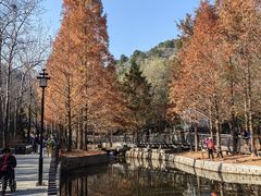 -白水寺森林公园