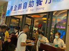 -帝企鹅自助餐厅•儿童岛•真企鹅(长隆企鹅酒店)