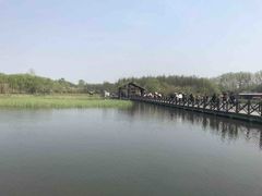 -溱湖国家湿地公园