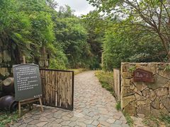 -远山有窑