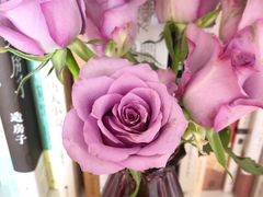 -植物学家的女儿(北马道巷店)