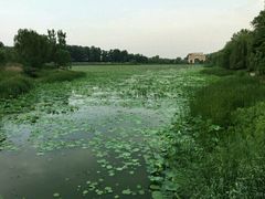 -北京瑞麟湾温泉度假酒店