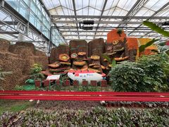 -兰陵国家农业公园