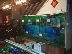 水产区-七裕庄(凯旋南路店)