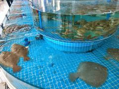 -必点蒸汽海鲜(止锚湾店)