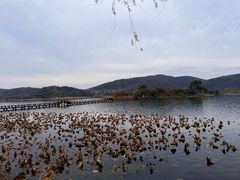 -南北湖风景区