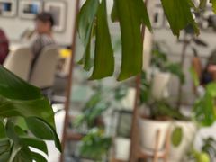 -一尺花园(安和花园店)