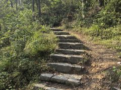 -青龙山国家森林公园