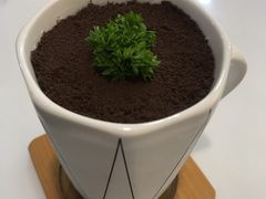 -喵园·猫主题咖啡厅·撸猫·猫咖(国贸店)