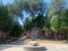 -函谷关历史文化旅游区