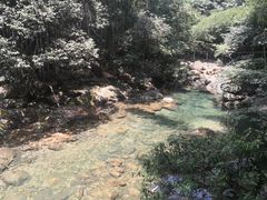 -祁门牯牛降观音堂风景区