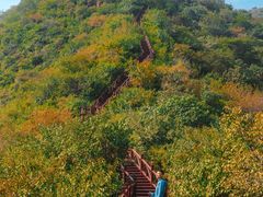 -大岭沟猕猴桃谷风景区
