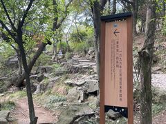 -香雪海