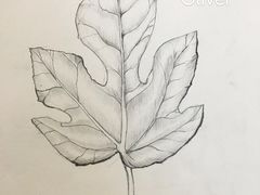 -白鹿艺术美学工作室 1 画室(MOMA校区)