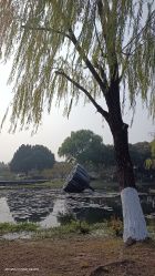 -玄武湖景区-情侣园游乐场