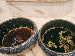 -金滏山烤肉·海鲜·火锅自助餐厅(襄阳万达店)