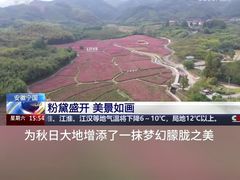 -南山民肴·乡土徽菜(豪辰俪景店)