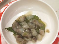 芥末章鱼-京樽回転寿司(奥林匹克店)