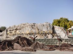 -北京西山国家森林公园