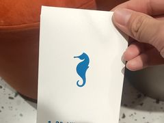 -海马体照相馆(大连罗斯福广场店)