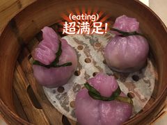 紫晶石榴果-金鼎轩(方庄天坛店)