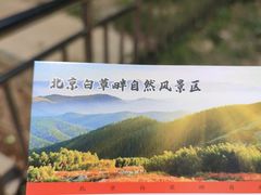 -白草畔自然风景区