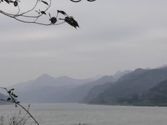 -羚羊峡古栈道森林公园