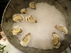 刺身生蚝-芭菲盛宴·环球美食(袁家岗店)