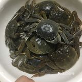 鬼怪[鬼脸]美味菜谱系列之：清蒸螃蟹