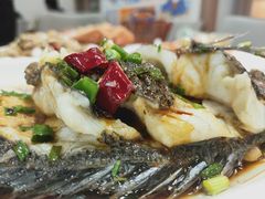 -洲晓鲜·舟山海鲜大排档(朱家尖风景区店)