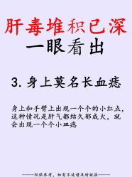 点击看大图 -玛莲朵·海菲秀冰珀科