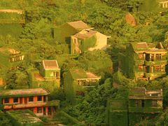 -枸杞岛