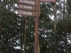 -梧桐山风景名胜区