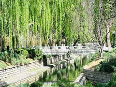 -菖蒲河公园