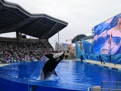 -上海海昌海洋公园