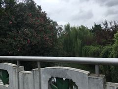 -兰溪青年公园